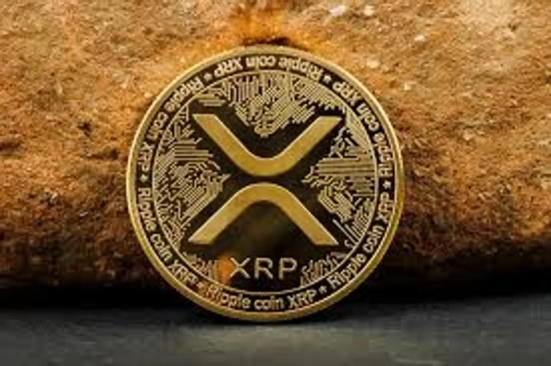news/2025/09/2025-09-09-엑스알피-etf-승인-기대감에옵션-트레이더-강세-전망-우세.webp